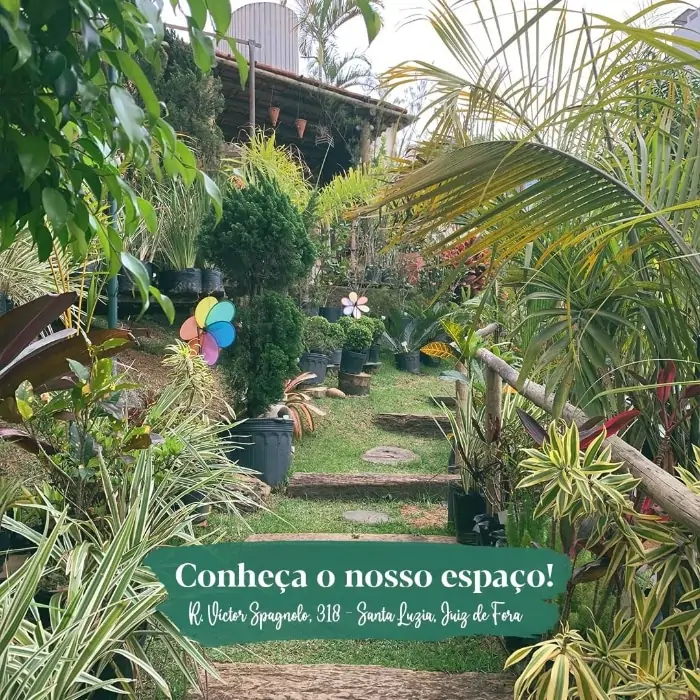 Floriculturas em Juiz de Fora: Amarílis Jardins (Foto: Instagram)