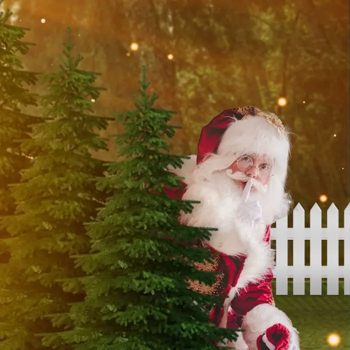 Papai Noel em Juiz de Fora - Santa Cruz Shopping (Foto: Instagram)
