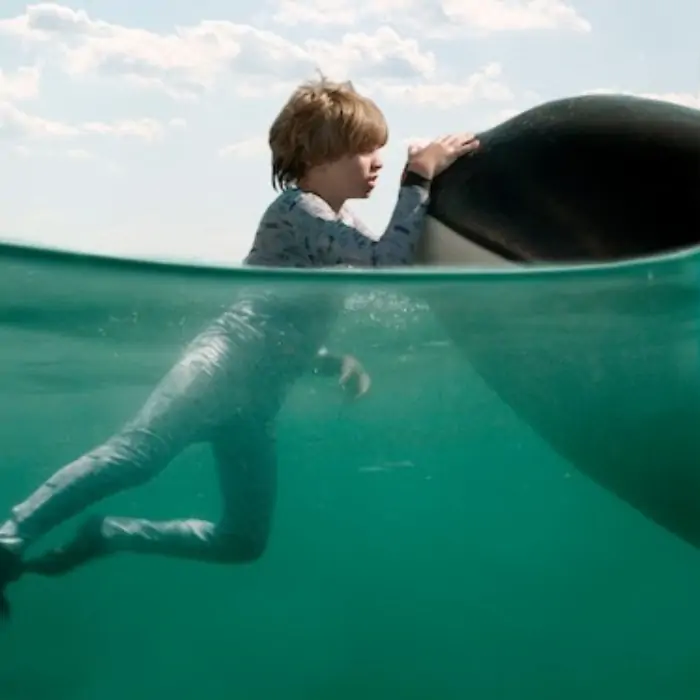Filmes Espanhóis na Netflix: Farol das Orcas